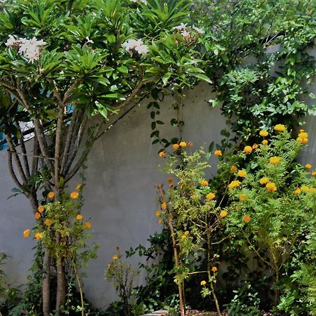 Bellaxy Ceylon Bed & Breakfast Exterior foto